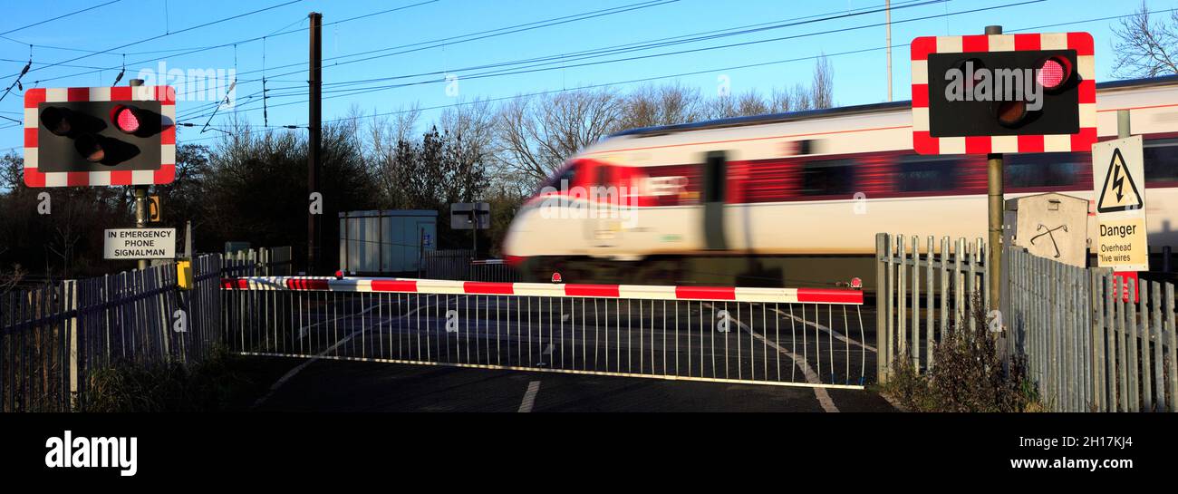 Train Azuma passant les feux rouges à un passage à niveau sans pilote, East Coast main Line Railway, Peterborough, Cambridgeshire, Angleterre, Royaume-Uni Banque D'Images