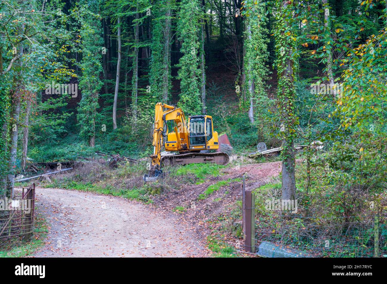 Équipement d'exploitation forestière Industrie forestière machine à hydrolic à chenilles Banque D'Images