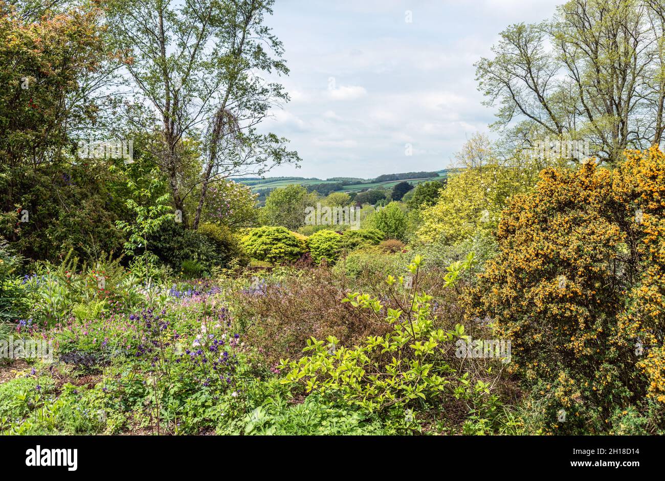 Jardin d'été à la la maison du jardin, Tavistock, Devon, Angleterre Banque D'Images