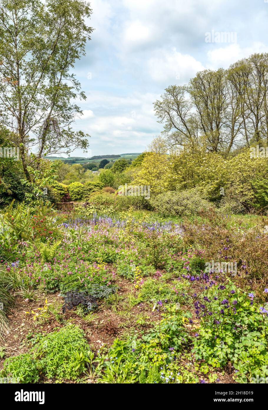 Jardin d'été à la la maison du jardin, Tavistock, Devon, Angleterre Banque D'Images