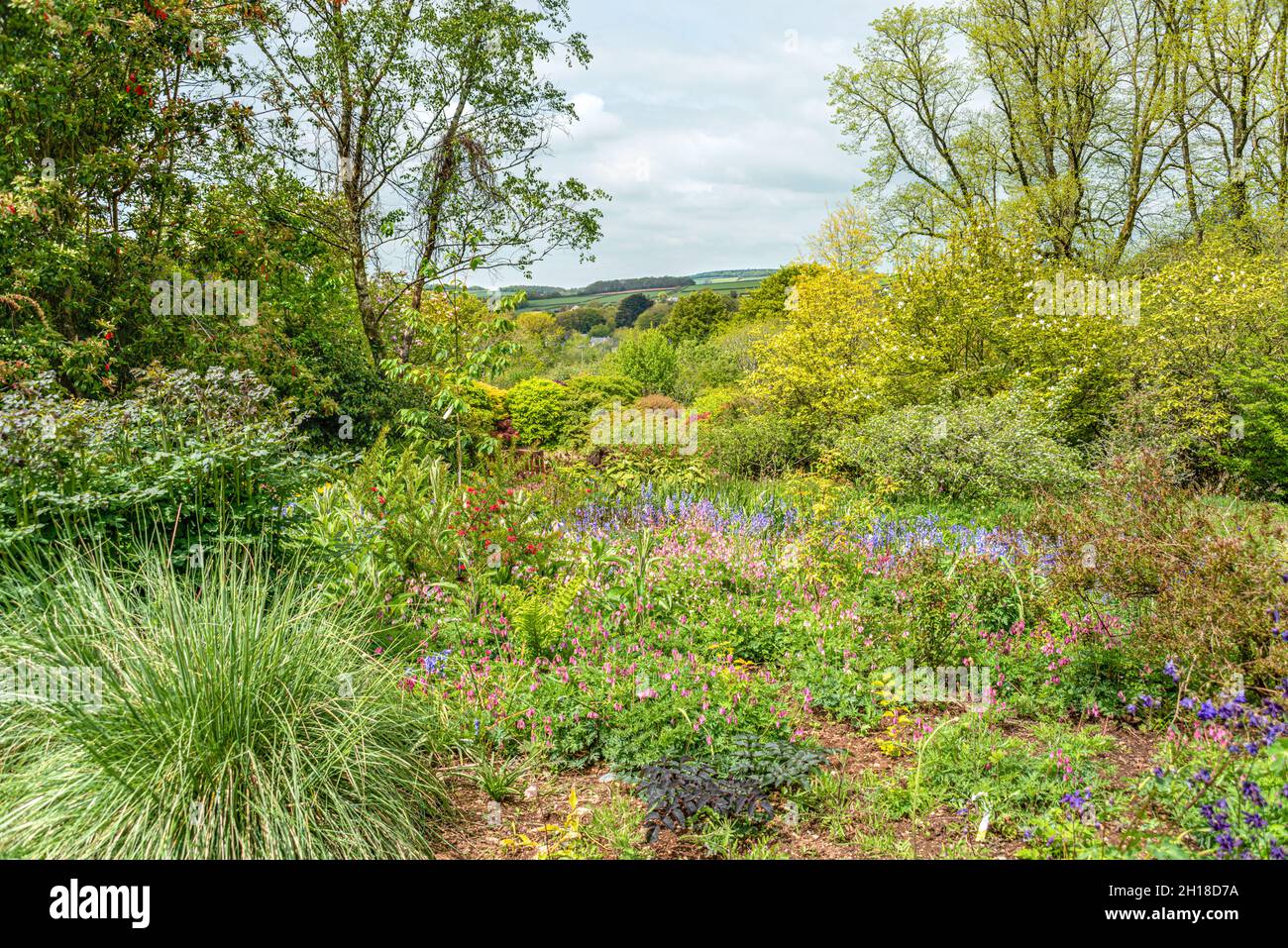 Jardin d'été à la la maison du jardin, Tavistock, Devon, Angleterre Banque D'Images