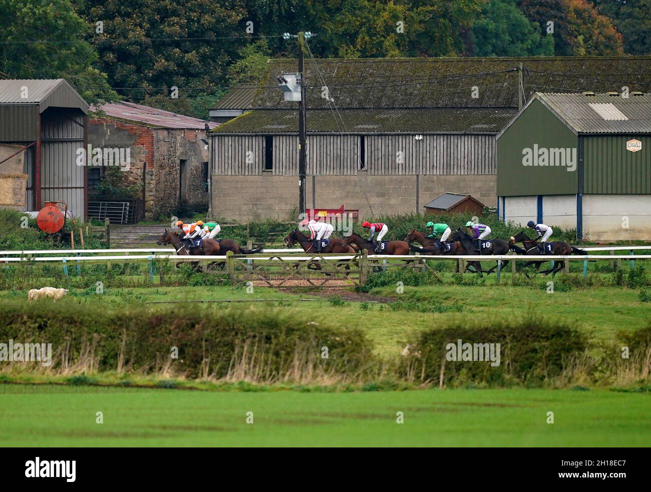 Les coureurs et les cavaliers en action lorsqu'ils affrontent l'obstacle Maiden de Victoria Jackson Animal conservation Awareness au Sedgefield Racecourse, dans le comté de Durham.Date de la photo: Dimanche 17 octobre 2021. Banque D'Images