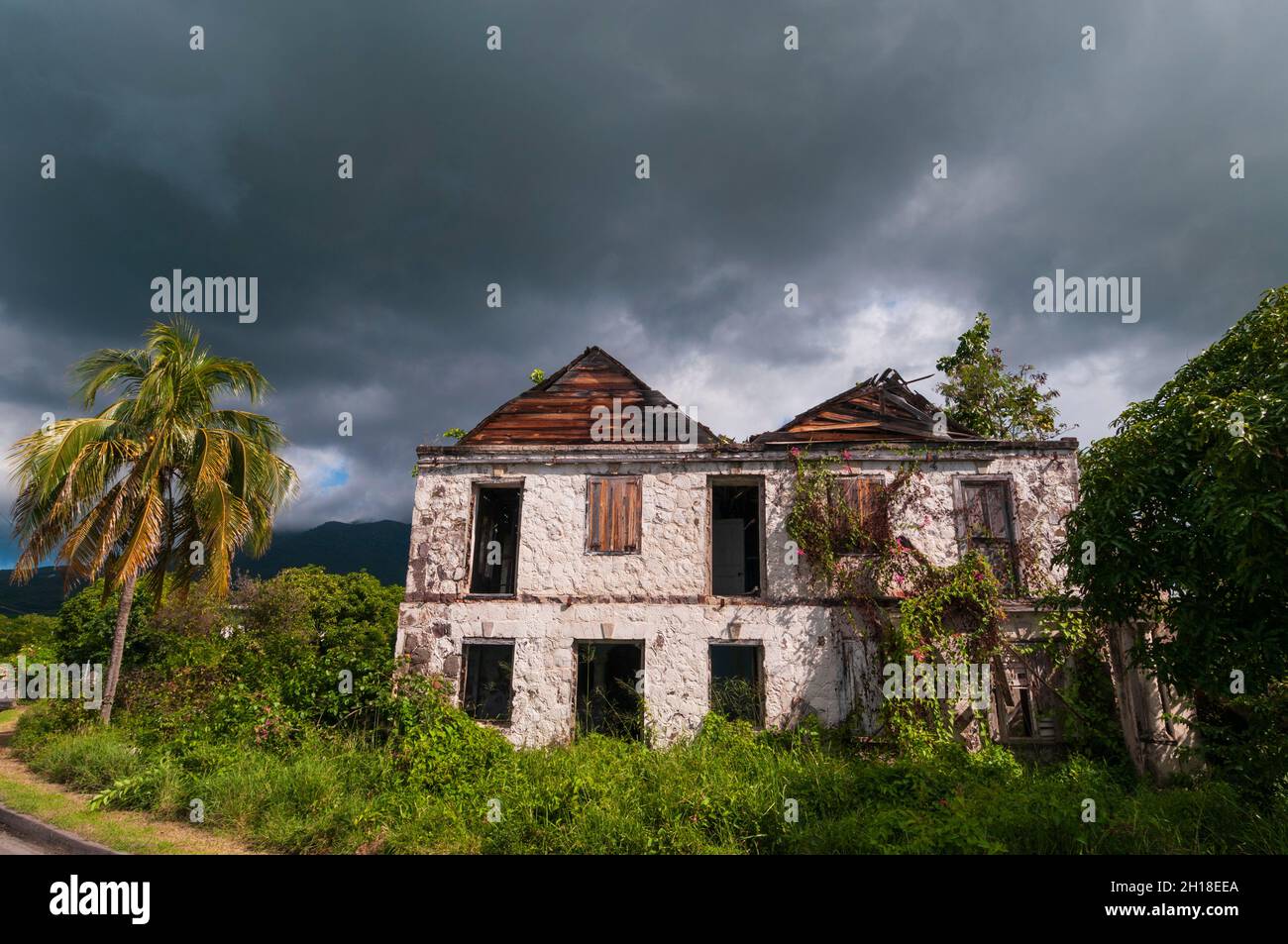 Des vignes et des arbustes surcultivés enveloppent une maison abandonnée à Charlestown.Charlestown, Nevis Island, West Indies. Banque D'Images