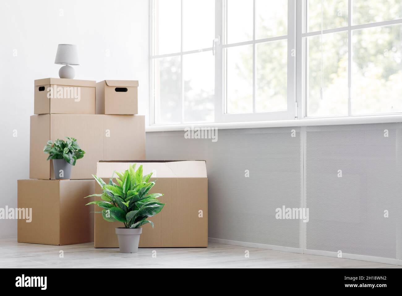 Pile de boîtes en carton avec effets personnels et plantes vertes dans des pots sur le sol près de la fenêtre, espace vide Banque D'Images