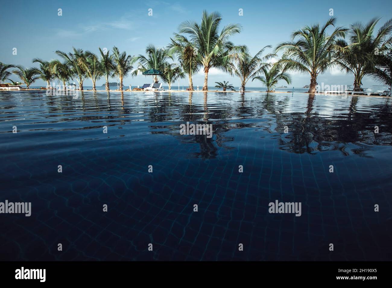 Vue sur la piscine d'eau sur une plage tropicale avec palmiers. Banque D'Images