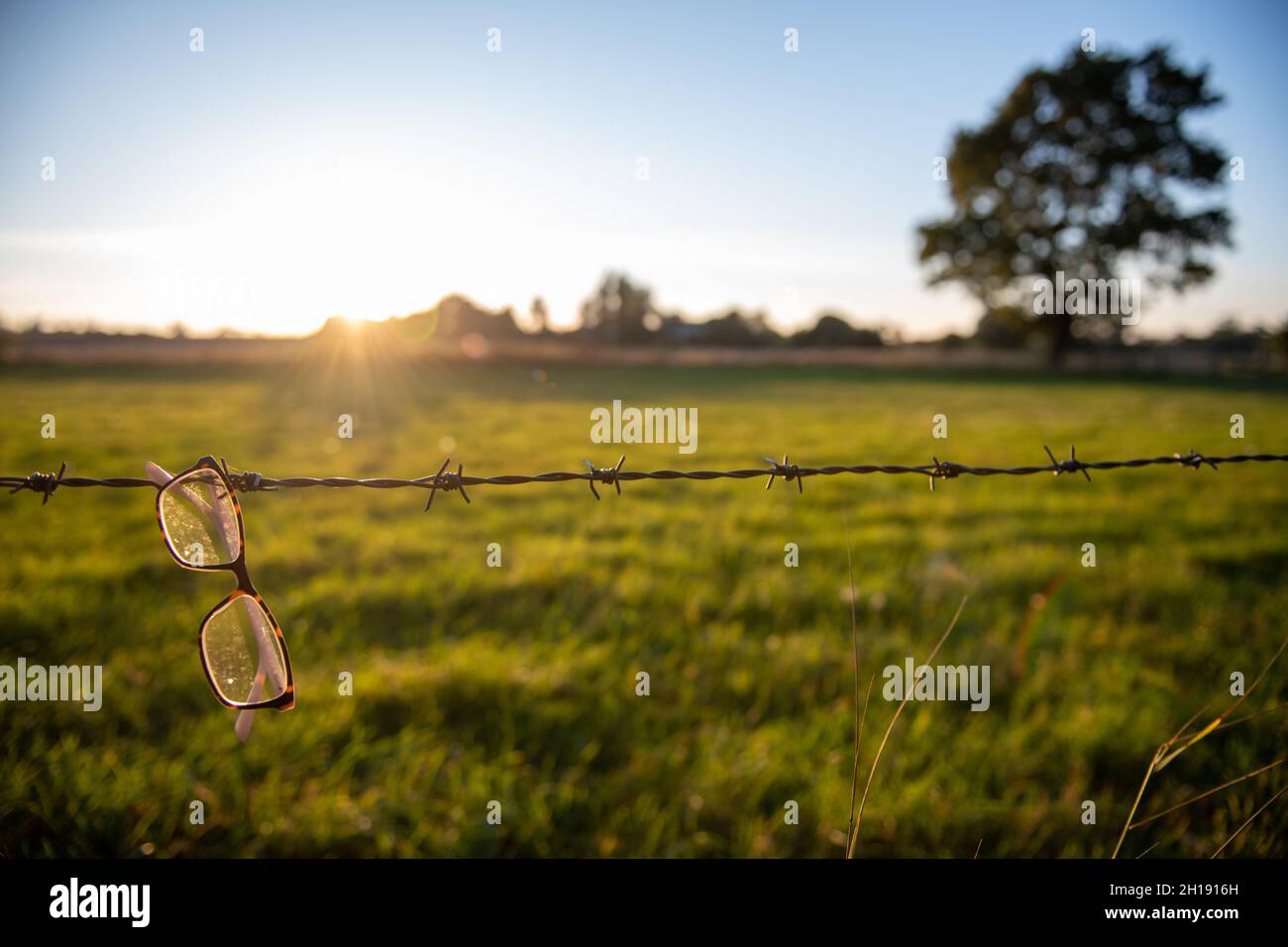 Paire de lunettes laissées sur une clôture barbelée sur le sentier le long de la Tamise à benson Banque D'Images