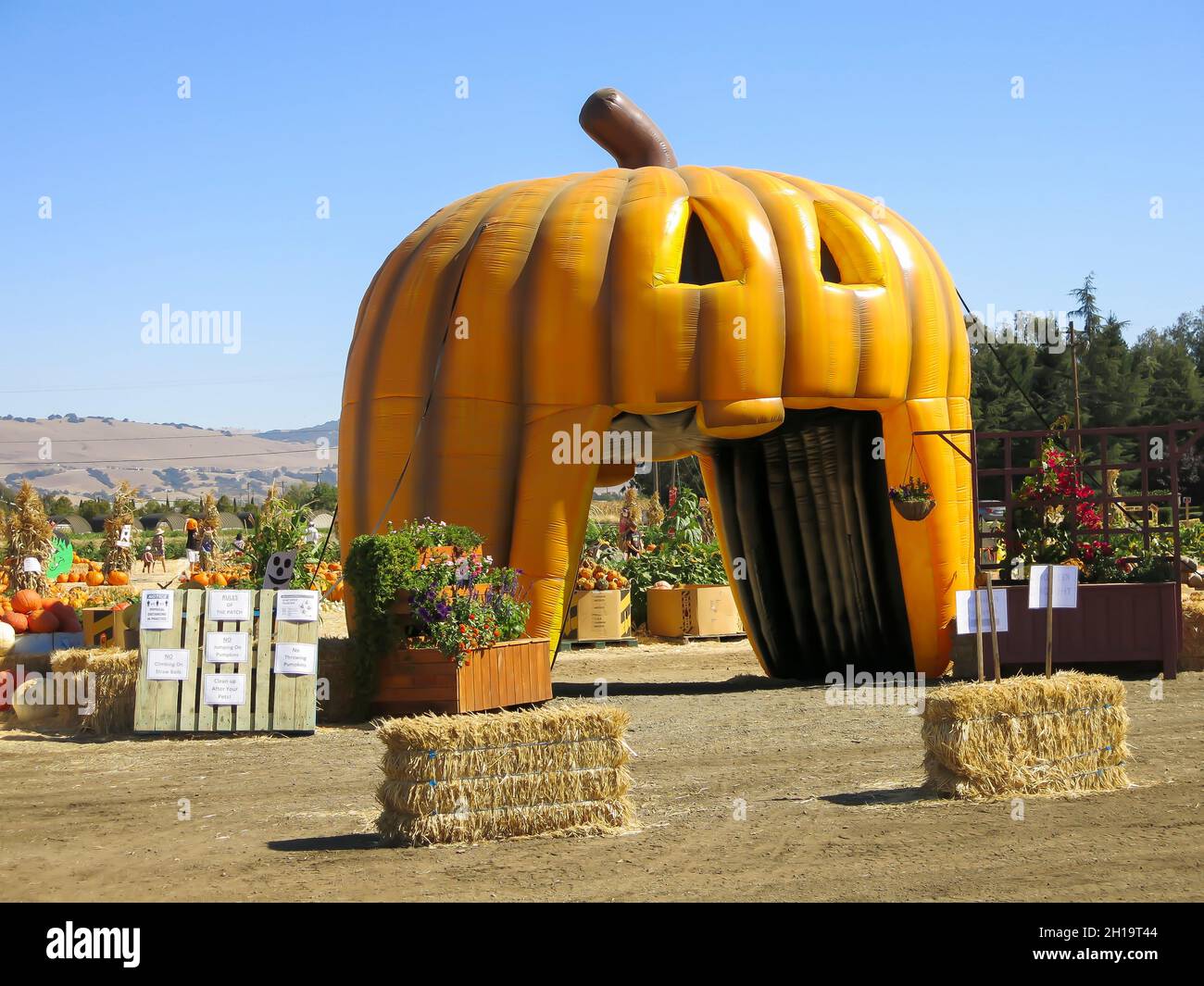 Entrée à Pumpkin Patch à San Martin, Californie Banque D'Images
