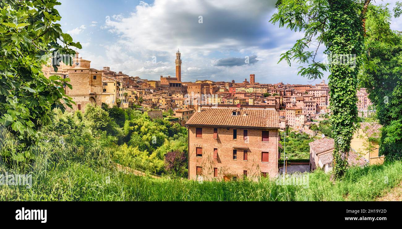 Vue panoramique sur le centre-ville pittoresque de Sienne, l'une des attractions touristiques les plus visitées du pays en Italie Banque D'Images