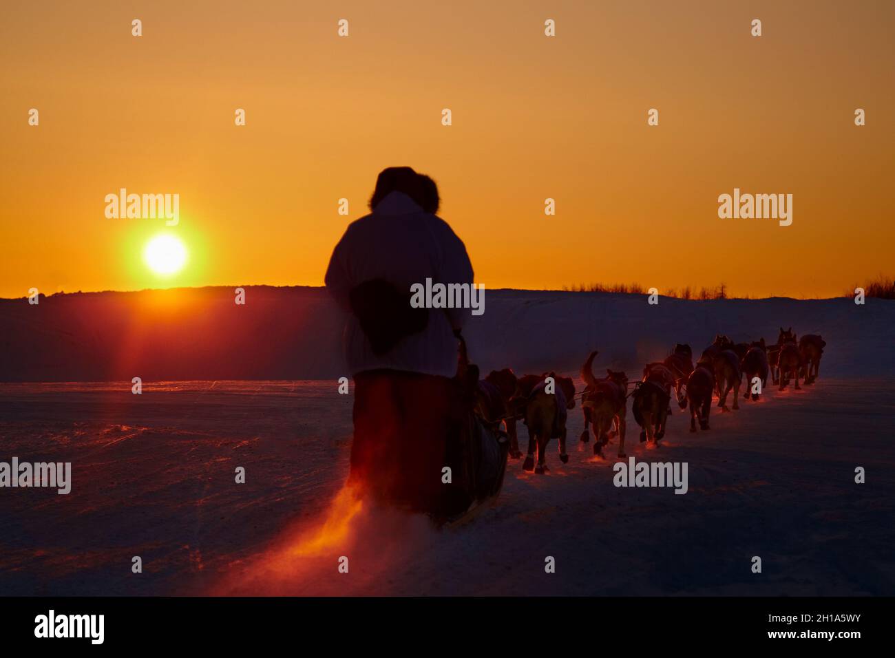 Coucher de soleil sur la course de traîneau à chiens Iditarod, fleuve Yukon, Galena, Alaska Banque D'Images