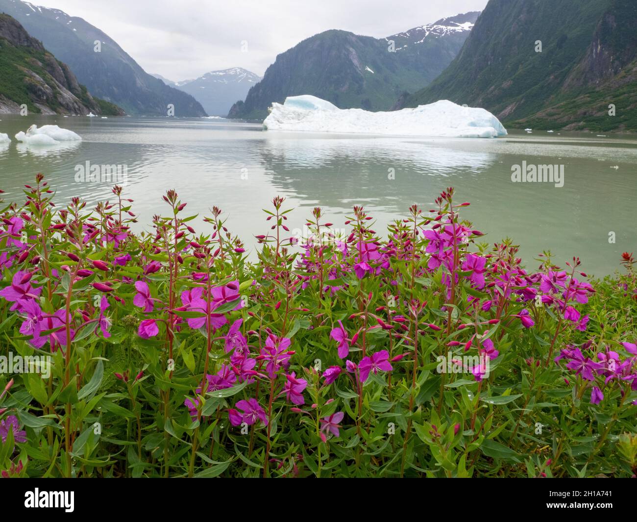 À Shakes Lake and Glacier, Stikine River, Stikine Leconte Wilderness, Tongass National Forest, près de Wrangell,Alaska. Banque D'Images