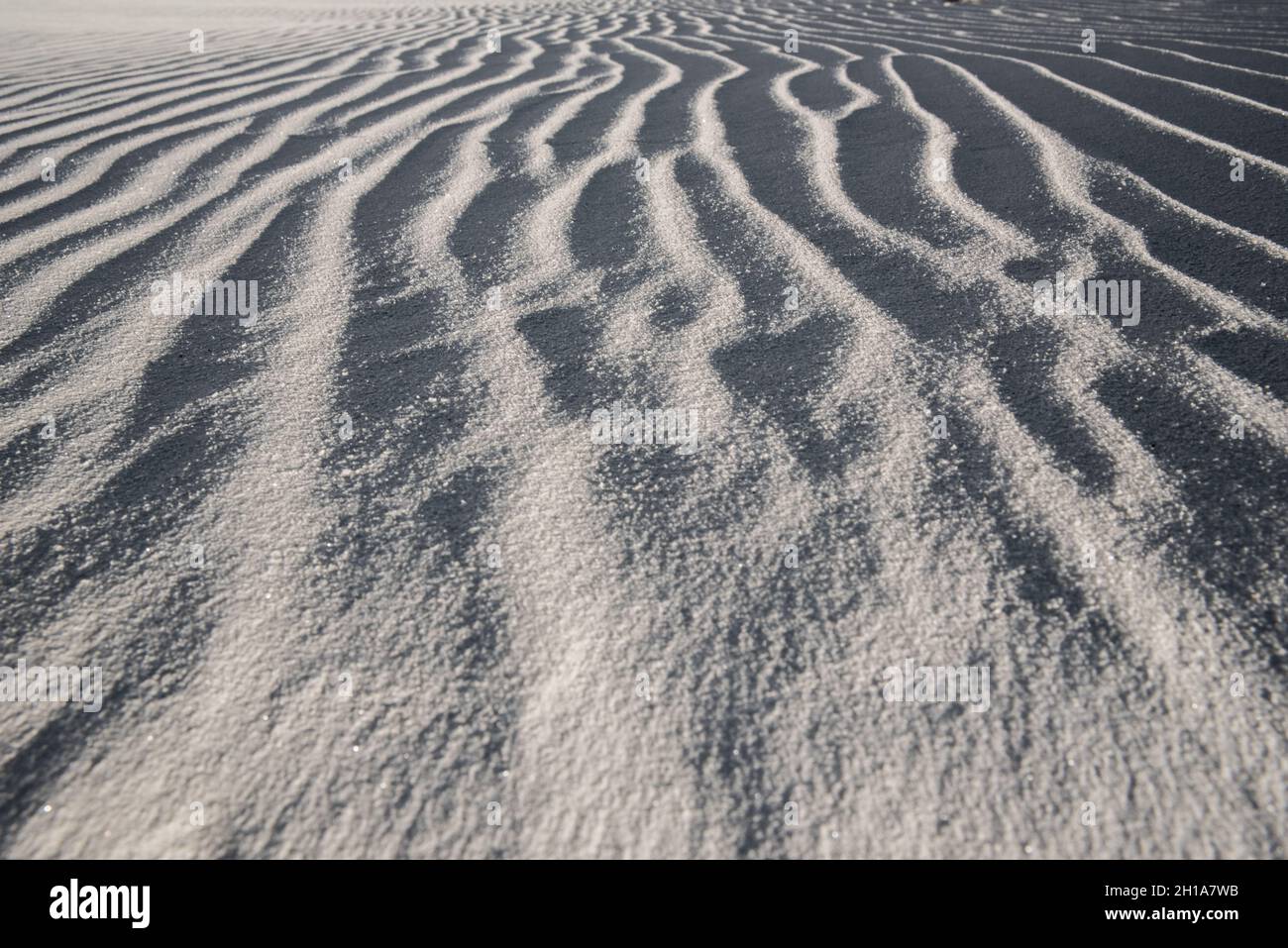 Gros plan sur le sable au parc national de White Sands, Alamogordo, Nouveau-Mexique. Banque D'Images