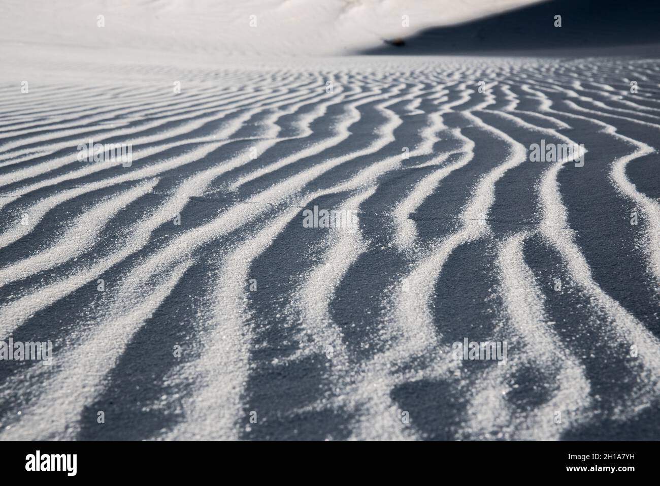 Gros plan sur le sable au parc national de White Sands, Alamogordo, Nouveau-Mexique. Banque D'Images