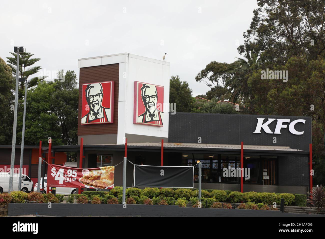 Kfc sydney Banque de photographies et d’images à haute résolution - Alamy