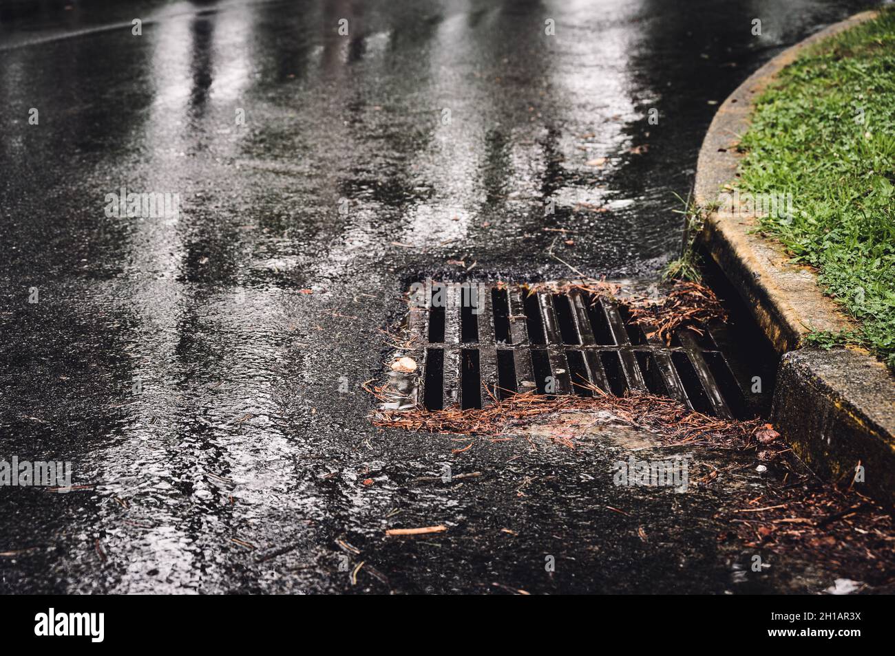 Drain d'orage métallique pendant un événement de pluie avec les feuilles et les aiguilles commencent à s'accumuler autour des bords Banque D'Images