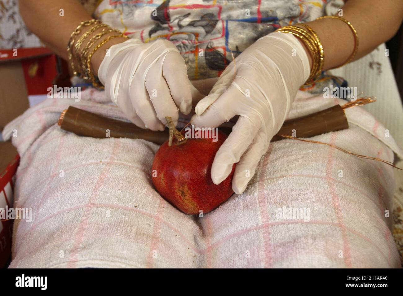 Naplouse, Palestine.17 octobre 2021.Samaritan tient un fruit en préparation pour la fête traditionnelle connue sous le nom de Sikka.Les Samaritains se préparent à la Fête du trône, connue sous le nom de Sikka, sur le Mont Gerizim dans la ville de Naplouse, en Cisjordanie.La secte Samaritaine est considérée comme la plus petite dénomination du monde, avec 800 membres.(Photo de Nasser Ishtayeh/SOPA Images/Sipa USA) crédit: SIPA USA/Alay Live News Banque D'Images