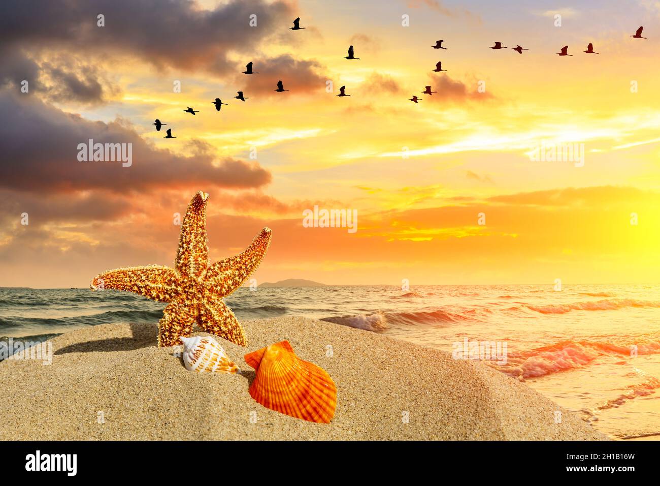 Starfish et coquillages sur une plage de sable, vacances d'été arrière-plan. Banque D'Images