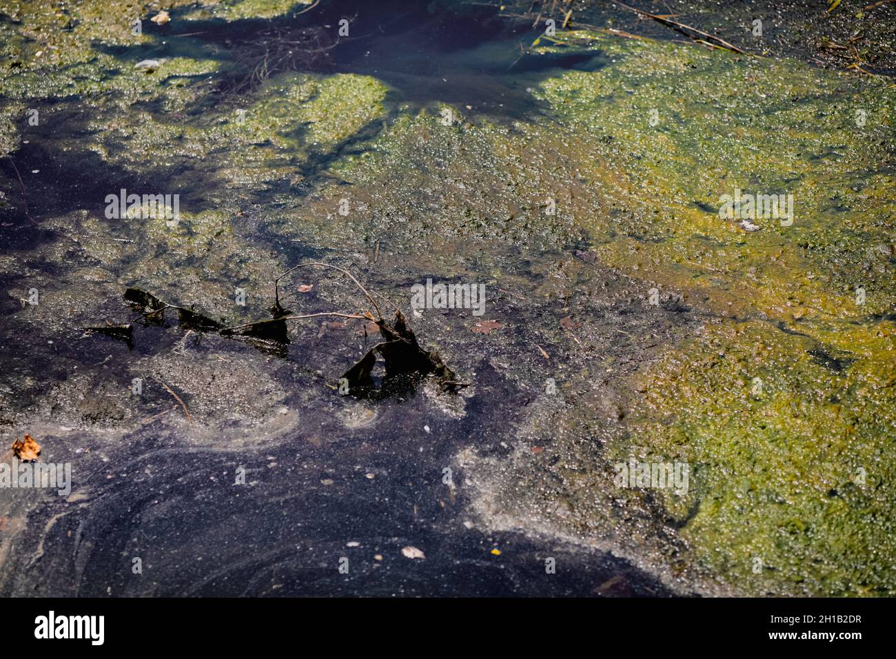 Détails avec de l'eau sale polluée dans un ruisseau qui coule. Banque D'Images