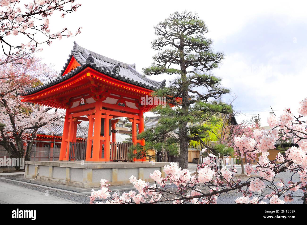 Sakura en fleurs et pavillon ancien dans le jardin près de la salle principale du temple bouddhiste Sanjusangendo (Rengeo-in) à Kyoto, Japon Banque D'Images