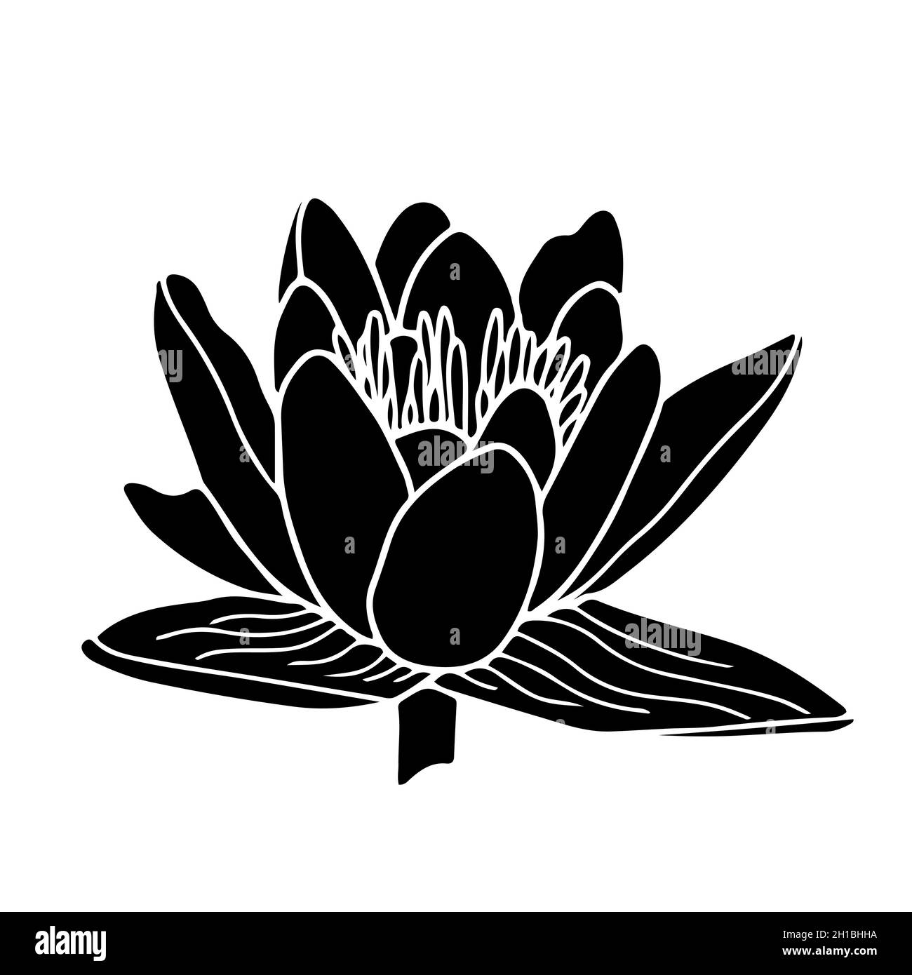 Illustration de la silhouette de fleur de nénuphars.Isoalted sur fond blanc. Illustration de Vecteur