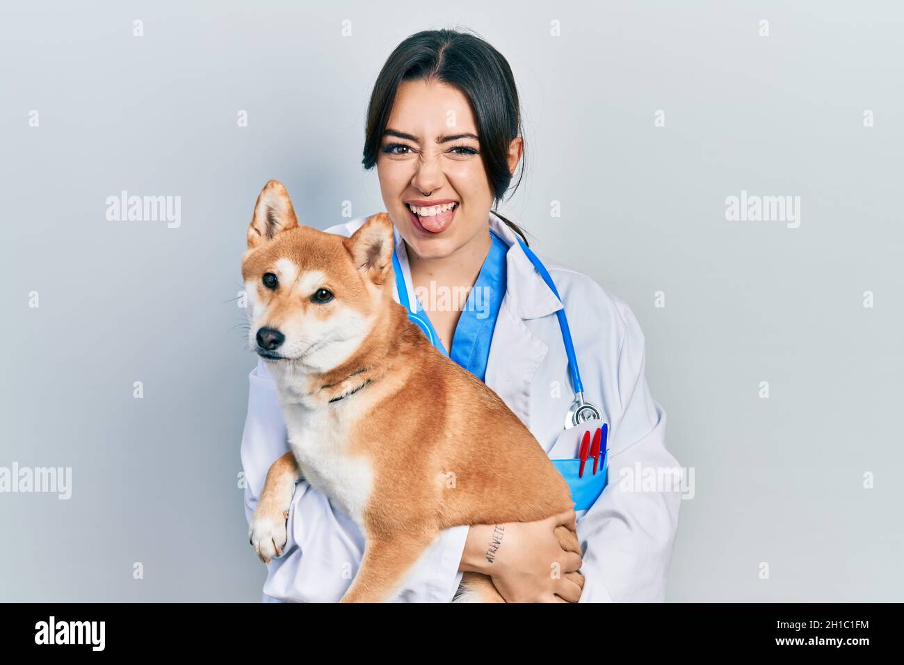 Belle femme vétérinaire hispanique tenant chien collant la langue dehors heureux avec l'expression drôle. Banque D'Images