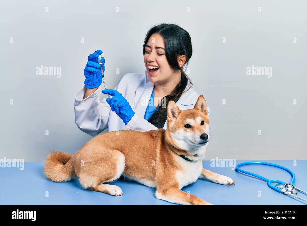 Belle femme vétérinaire hispanique mettant le vaccin au chien de chiot sourire et rire fort parce que drôle de blague folle. Banque D'Images