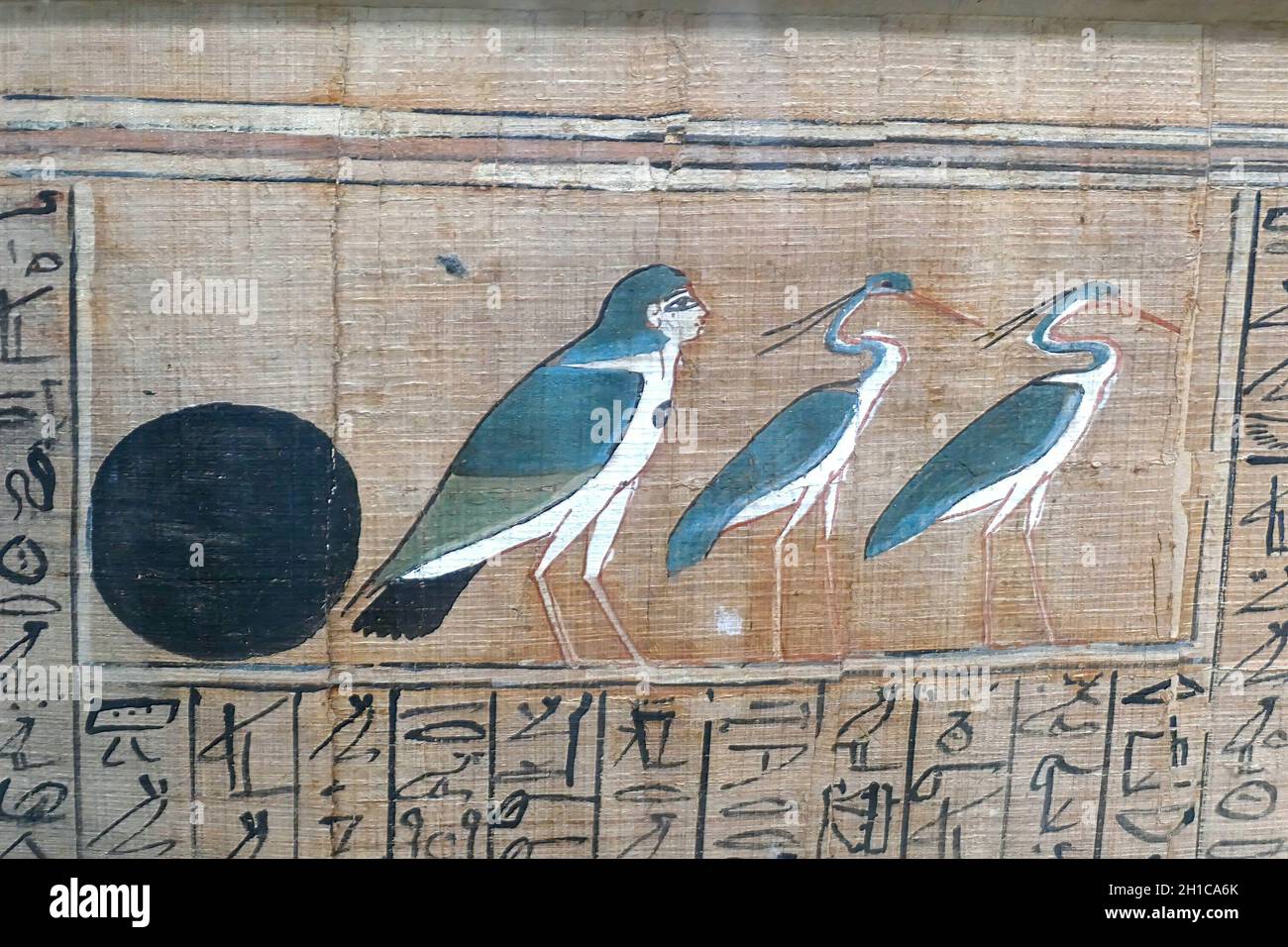 Gros plan des anciens hiéroglyphes égyptiens anciens et des dessins sur le papyrus Banque D'Images