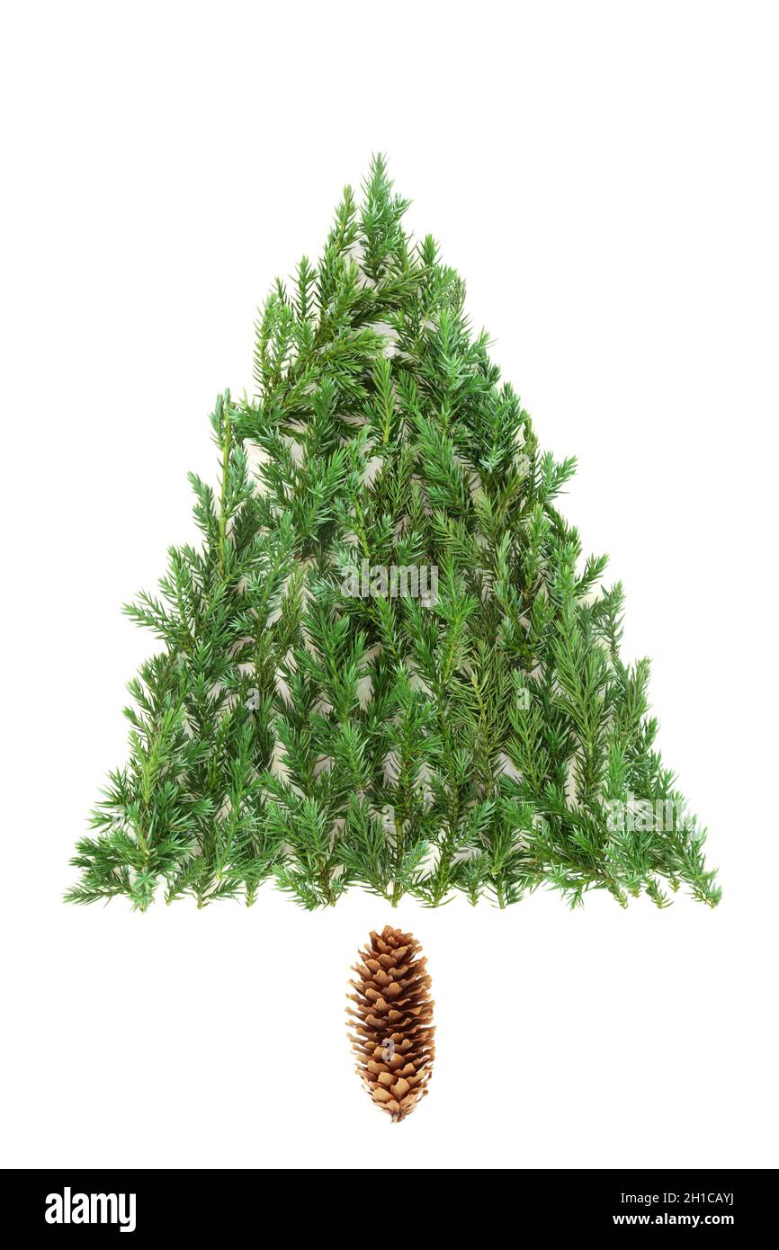 Arbre de Noël abstrait avec branches de feuilles de sapin de genévrier et pinecone sur fond blanc.Symbole écologique naturel.Flat lay, vue de dessus, espace de copie. Banque D'Images Arbre de Noël abstrait avec branches de feuilles de sapin de genévrier et pinecone sur fond blanc.Symbole écologique naturel.Flat lay, vue de dessus, espace de copie. Banque D'Images