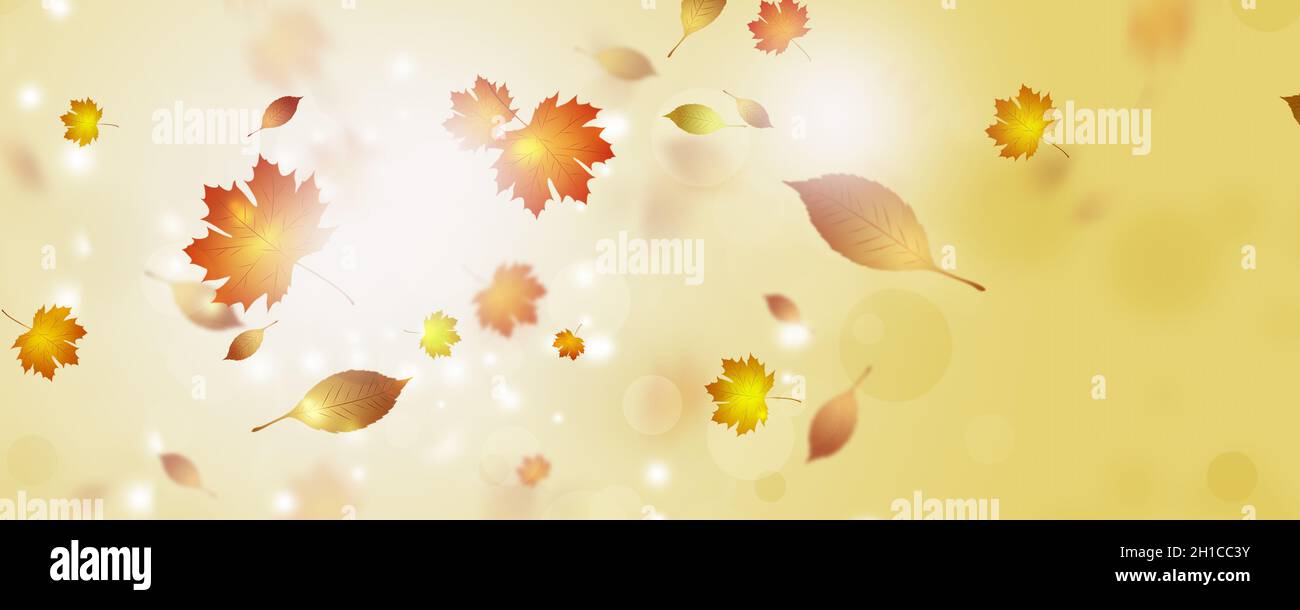 bannière lumineuse d'automne avec des feuilles jaunes tombantes colorées dansant dans le vent Banque D'Images