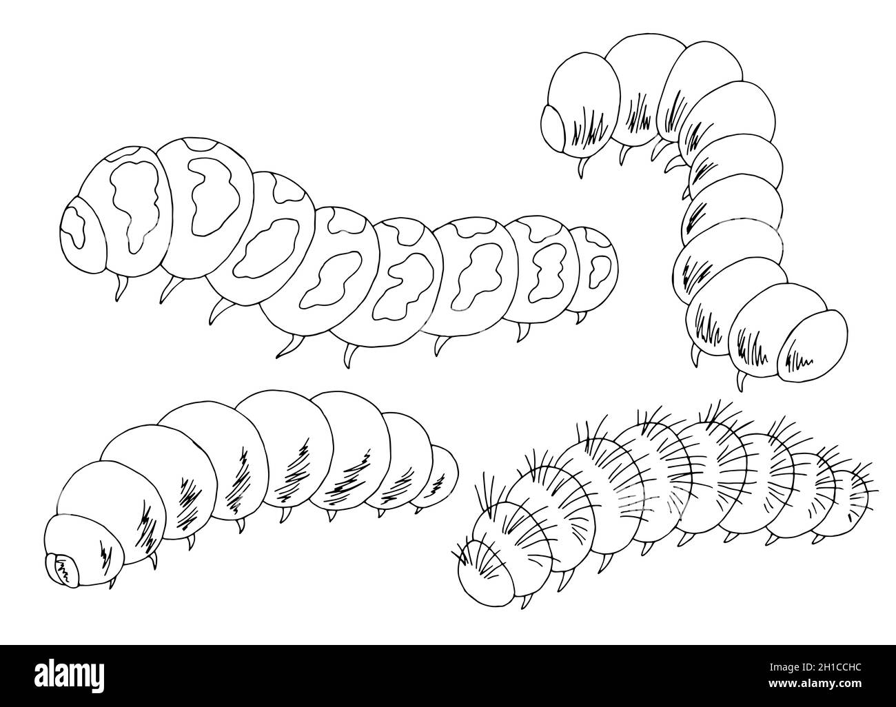 Schéma d'illustration d'esquisse isolé noir blanc Caterpillar défini Illustration de Vecteur