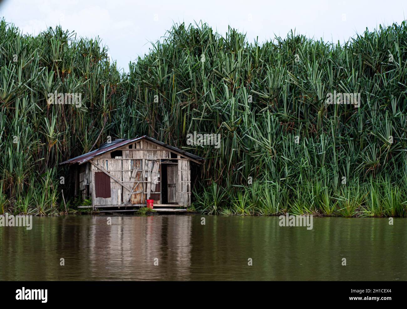 Une cabane traditionnelle sur les eaux calmes du lac entourée de pandanus.Points de mise au point sélective Banque D'Images