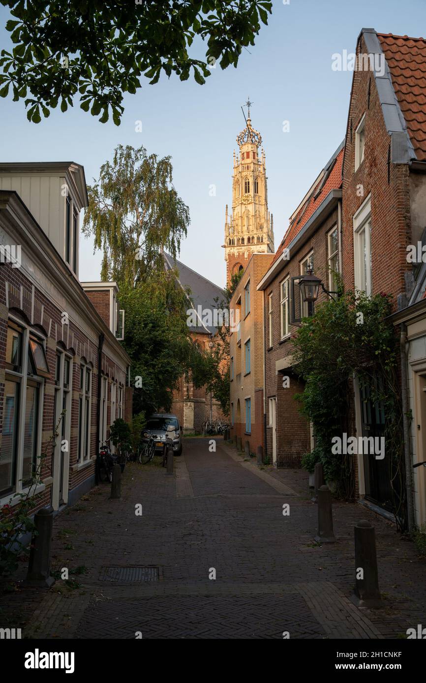 Amsterdam - 27 août 2019 : rue à Amsterdam en été. Banque D'Images