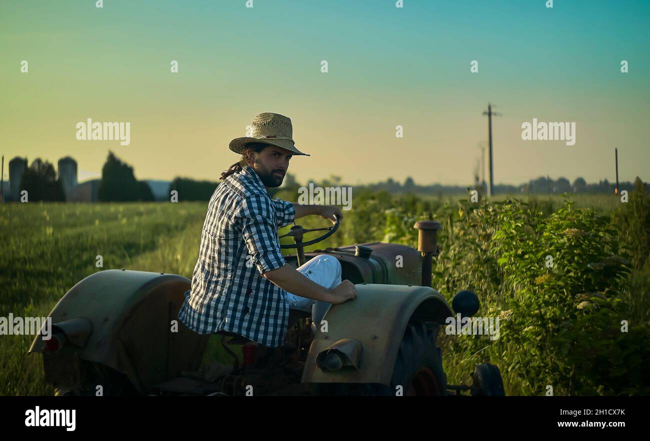 Un agriculteur sur tracteur travaille dans les champs au coucher du soleil Banque D'Images