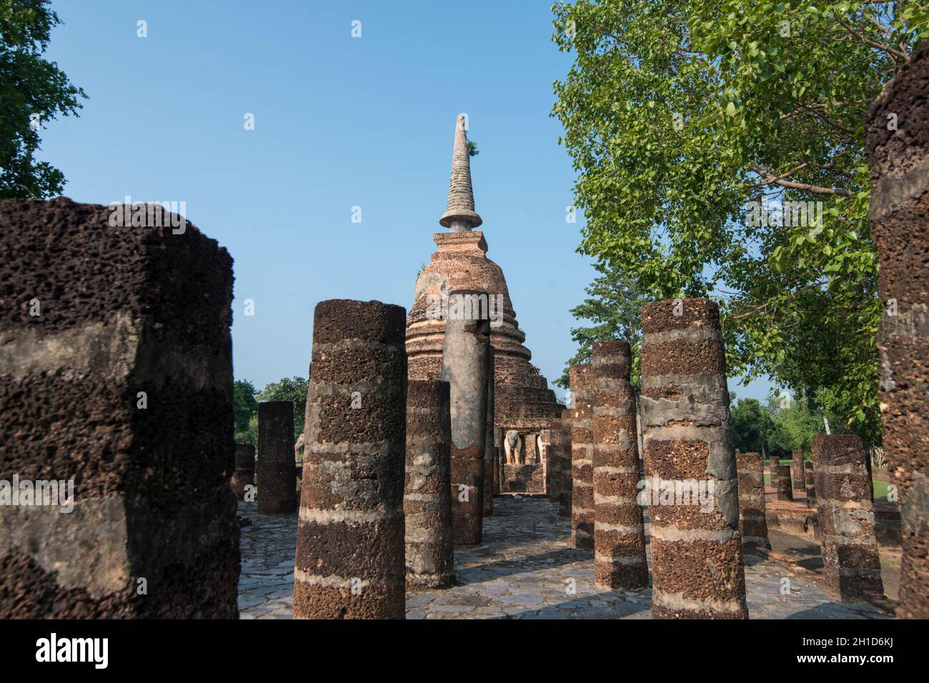 Le temple Wat Chang LOM dans le parc historique de Sukhothai dans le Provin Sukhothai en Thaïlande. Thaïlande, Sukhothai, novembre 2019 Banque D'Images