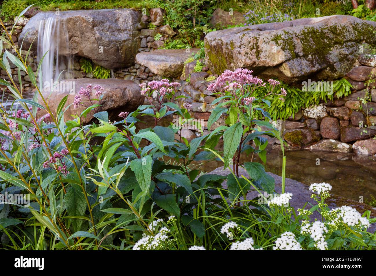 Psaume 23 jardin.Cascade naturaliste d'eau du granit, pierres usées dans le mur de pierre sèche dans la piscine tranquille.Avec Eupatorium maculatum ‘Riesensch Banque D'Images