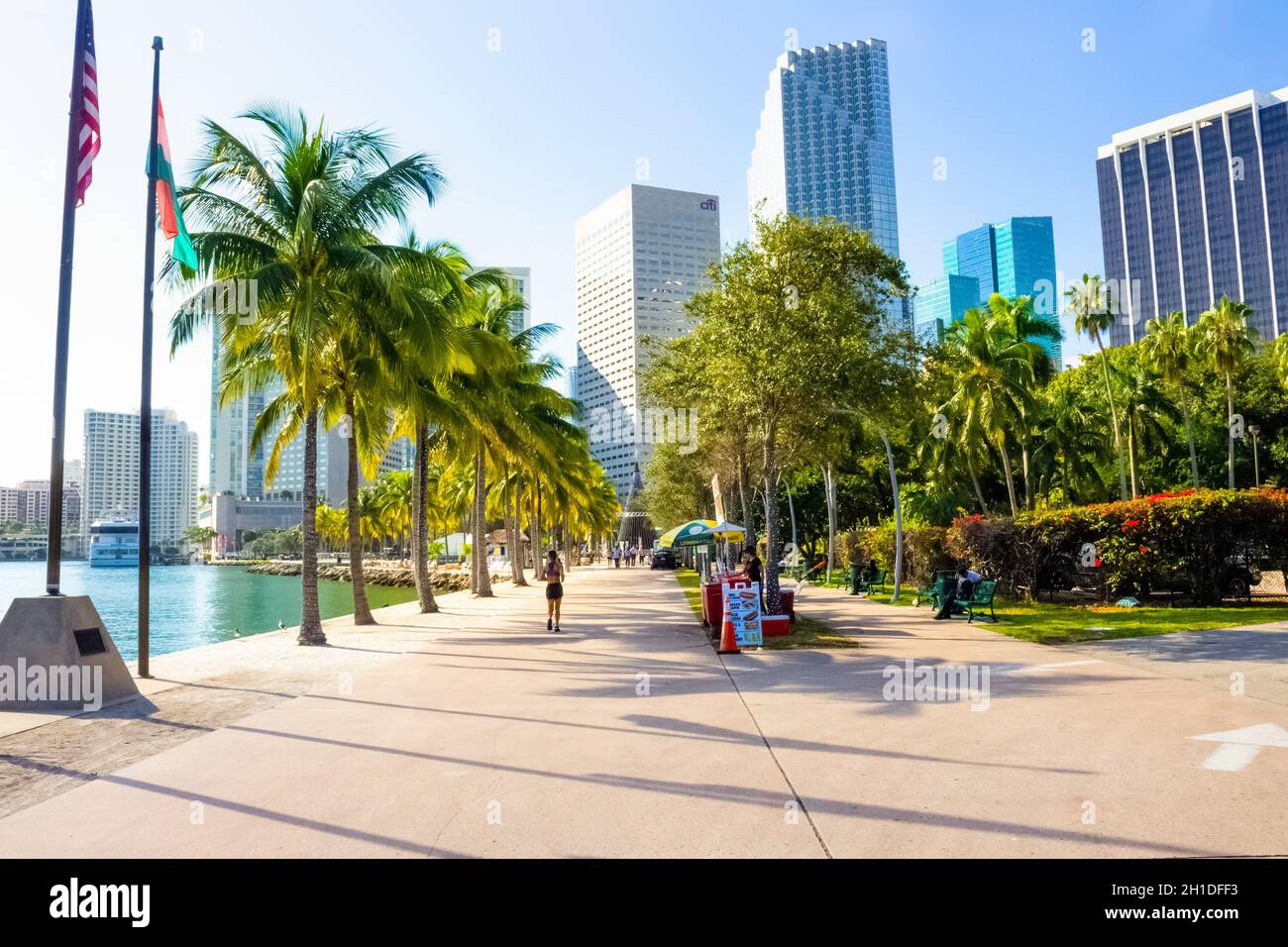 Miami, États-Unis - 30 novembre 2019 : les personnes se reposant au Bayfront Park avec des palmiers à Miami Banque D'Images