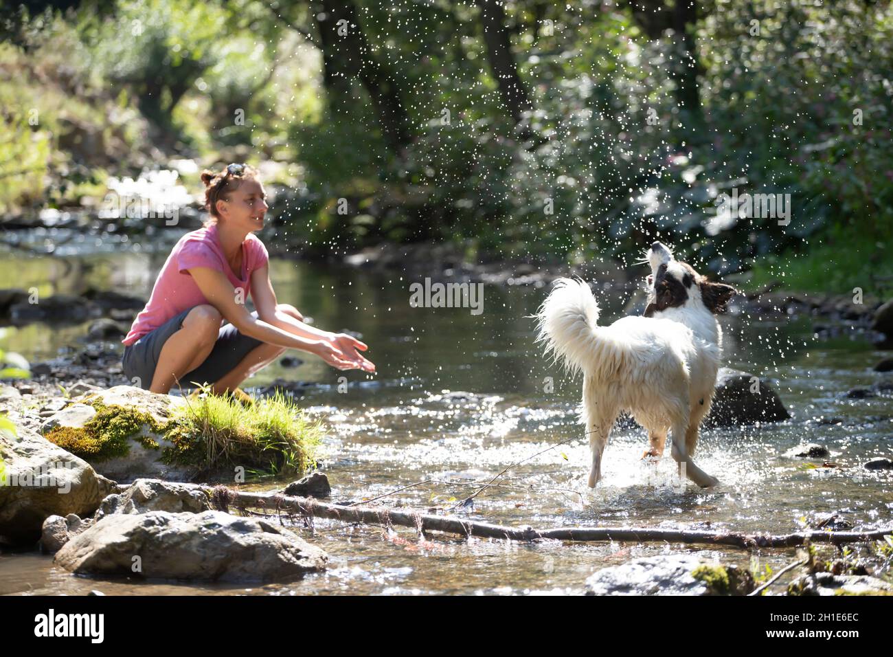 Jeune femme jouant avec son chien dans l'eau peu profonde de la rivière dans les bois. Banque D'Images