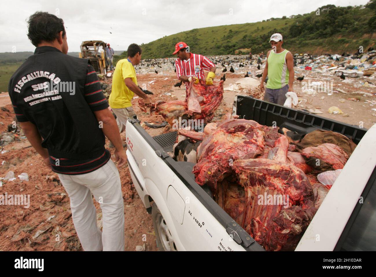 Eunapolis, bahia / brésil - setembro 10, 2010: Les inspecteurs de surveillance sanitaire jeter la viande de bolline de l'abattage clandestin et sans la consumptio Banque D'Images