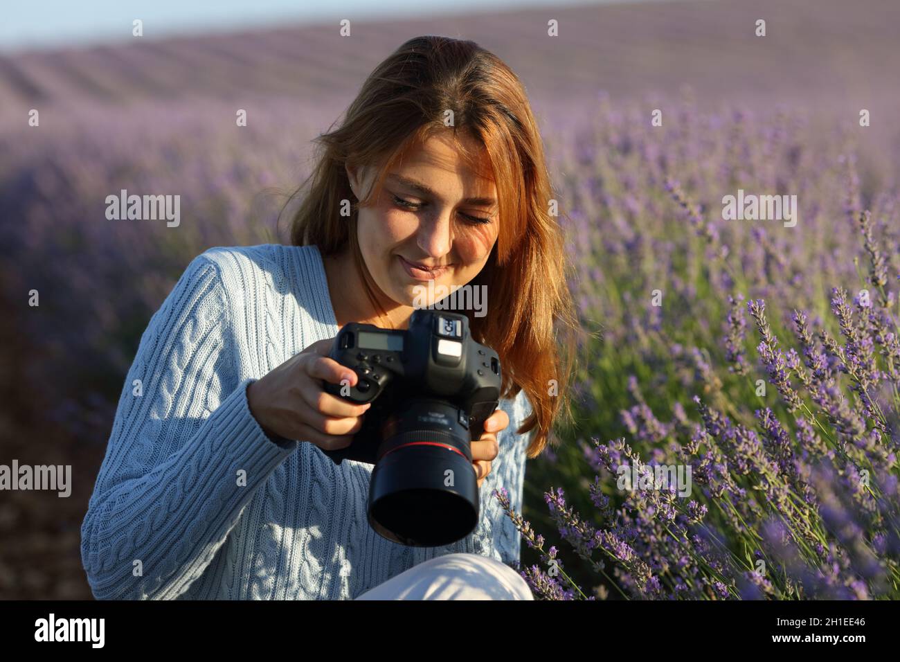 Bonne photographe femme qui vérifie un appareil photo reflex numérique dans un champ de lavande Banque D'Images