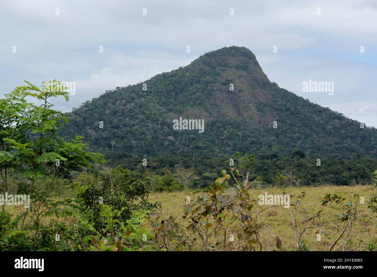 porto Seguro, bahia / brésil - 20 octobre 2014: Vue sur Monte Pascoal, situé dans le parc national de Monte Pascoal dans la municipalité de Porto Seguro Banque D'Images