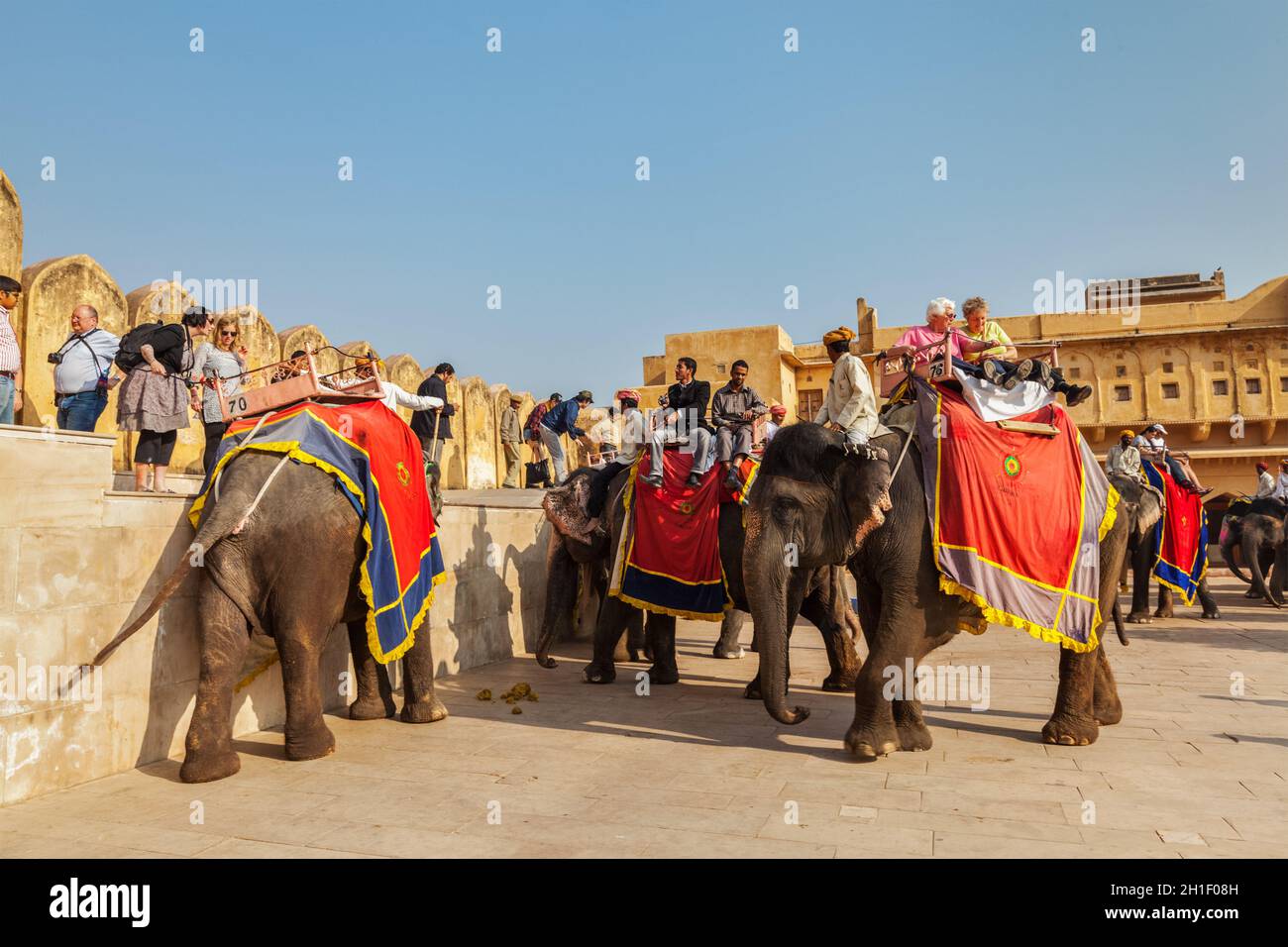 JAIPUR, INDE - NOVEMBRE, 18: Touristes à cheval éléphants à Amber fort, Rajasthan, Elephant Ride est un divertissement populaire pour les touristes en Inde Banque D'Images