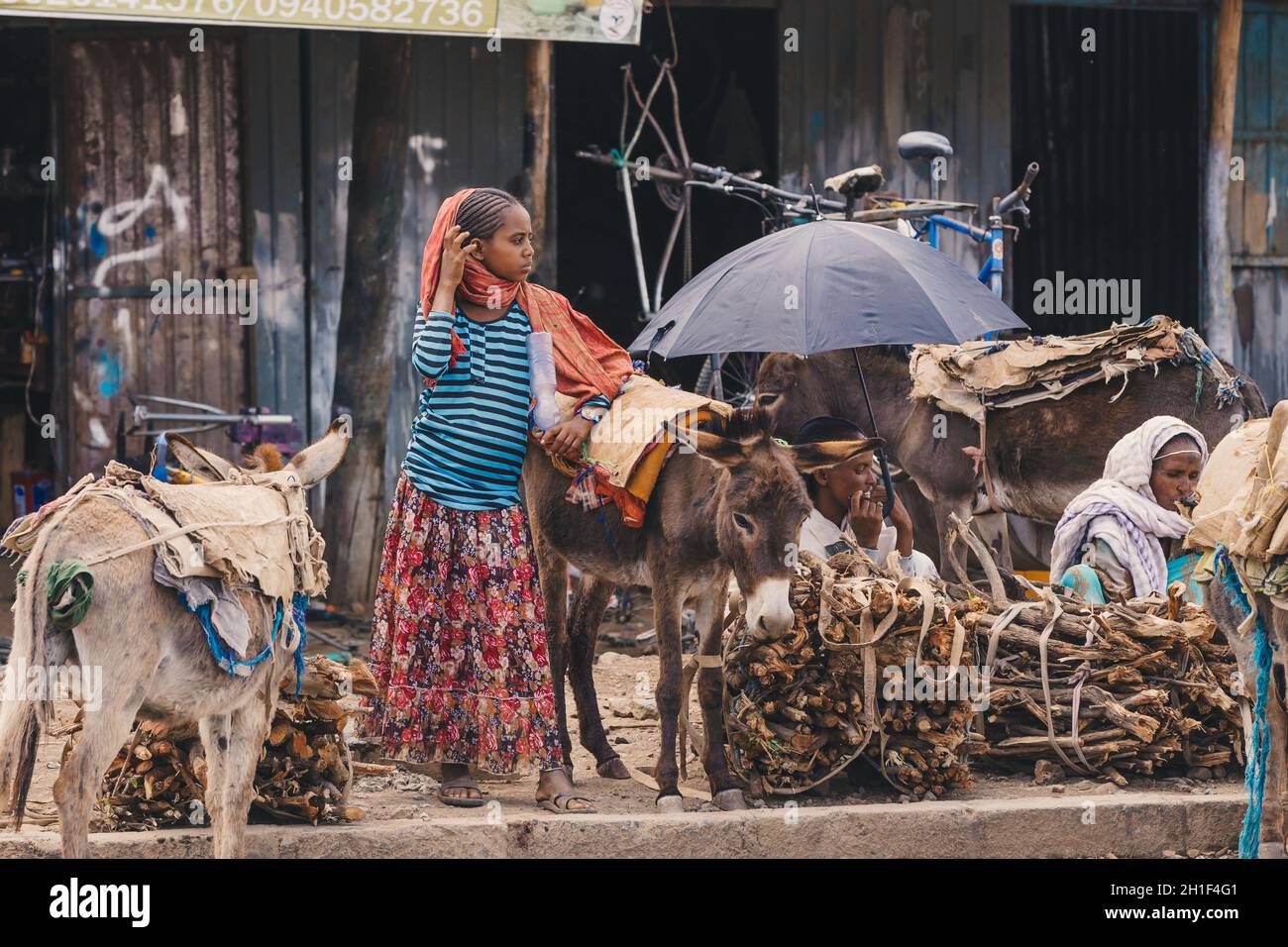 AXUM, ETHIOPIE, 27 AVRIL 2019: Ethiopiens vendant du bois de chauffage chargé sur des ânes sales sur la rue principale d'Aksum le 27 avril 2019 à Aksum, Eth Banque D'Images