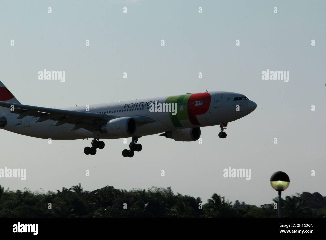 salvador, bahia / brésil - 21 septembre 2012 : l'Airbus A330-202 de TAP Air Portugal est vu lors de la procédure d'atterrissage sur la piste de l'aéroport dans la ville o Banque D'Images