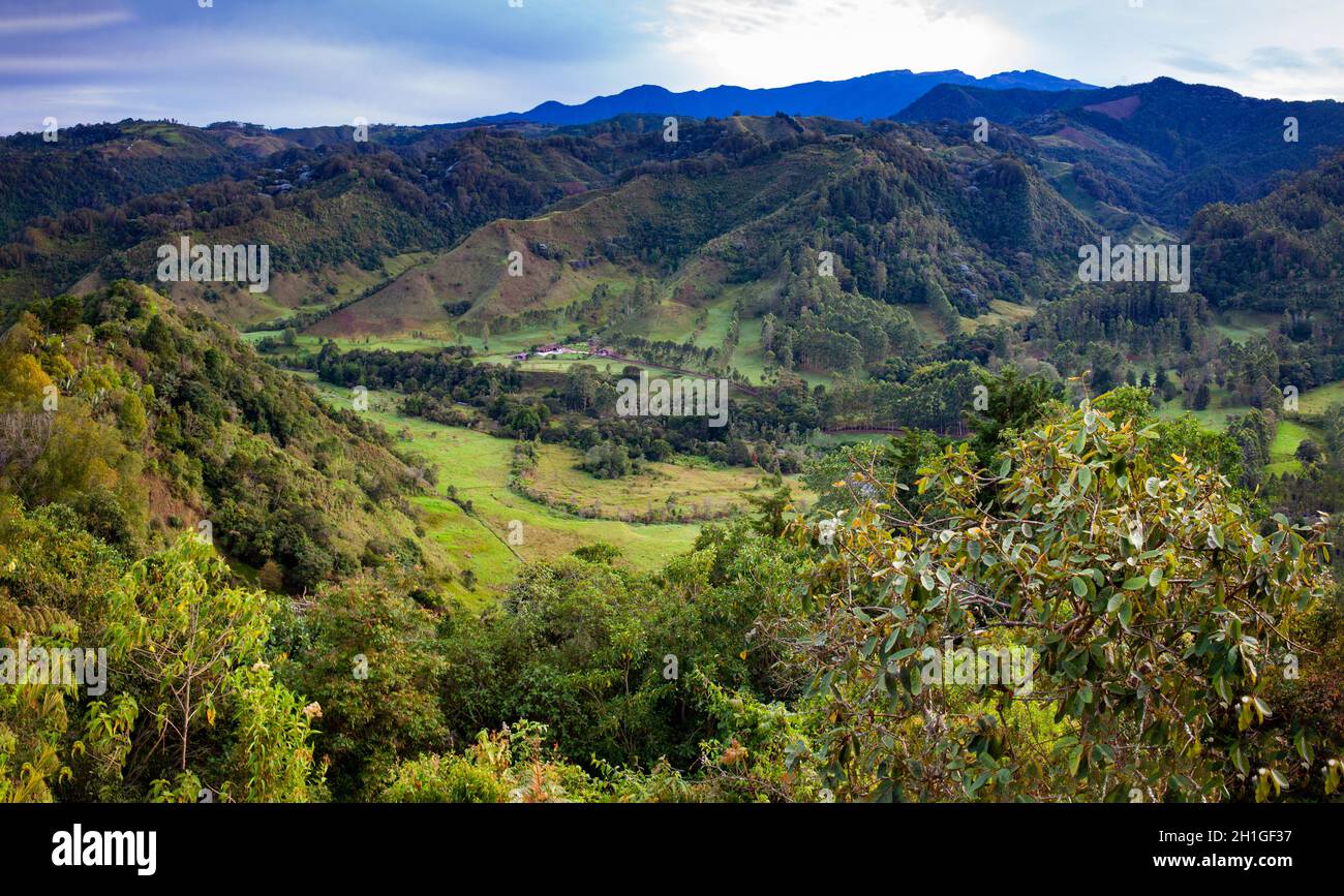 Belle vue sur la vallée de Cocora à Salento, depuis El Mirador, situé dans la région de Quindio en Colombie Banque D'Images