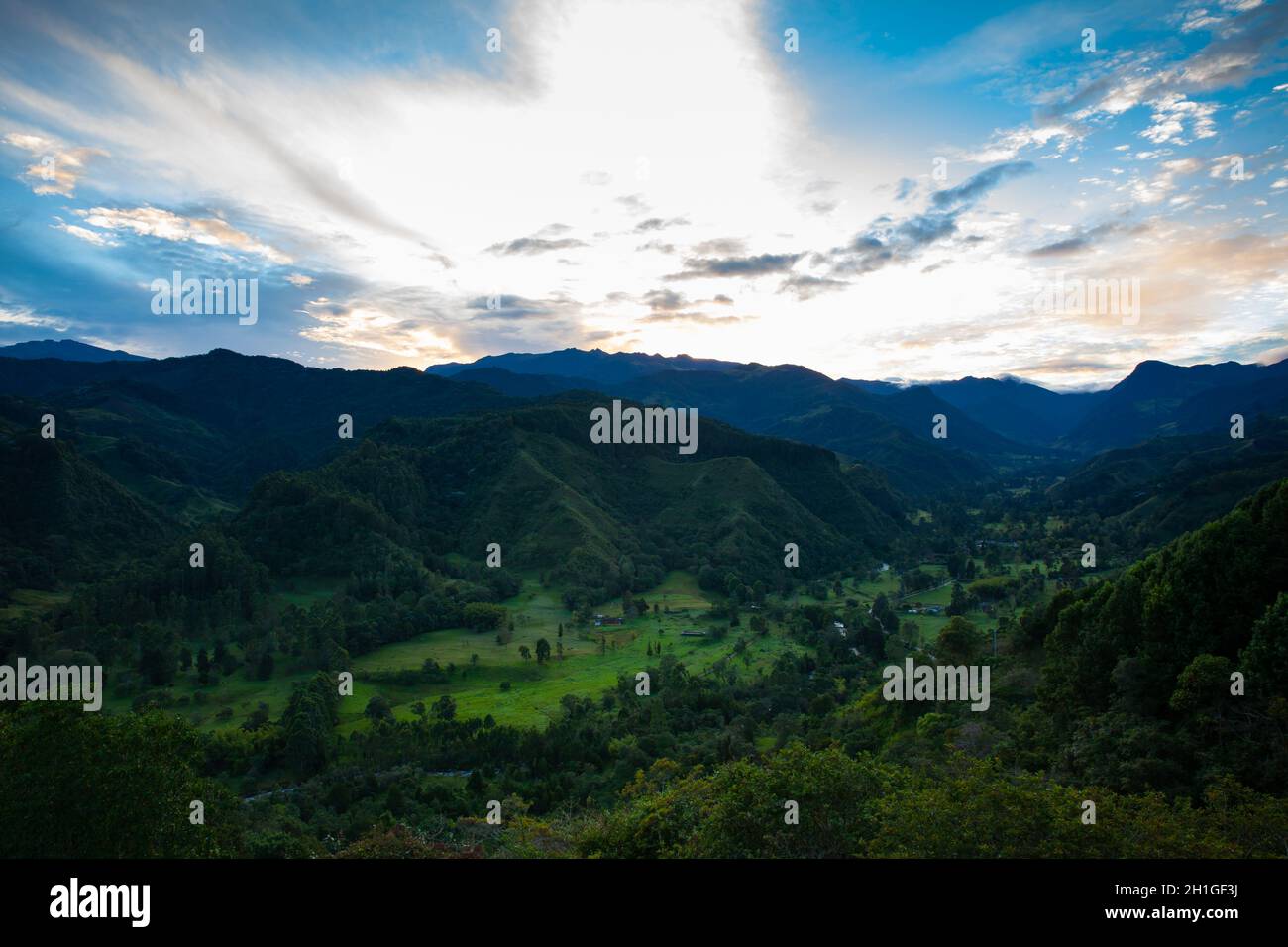 Belle vue sur la vallée de Cocora à Salento, depuis El Mirador, situé dans la région de Quindio en Colombie Banque D'Images