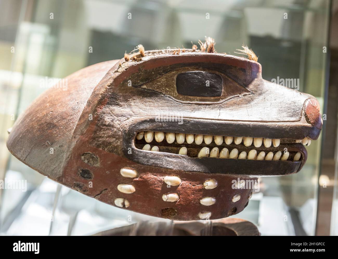 Madrid, Espagne - 11 juillet 2020 : casque en forme de loup Tlingit. Vue latérale. Musée des Amériques, Madrid, Espagne Banque D'Images