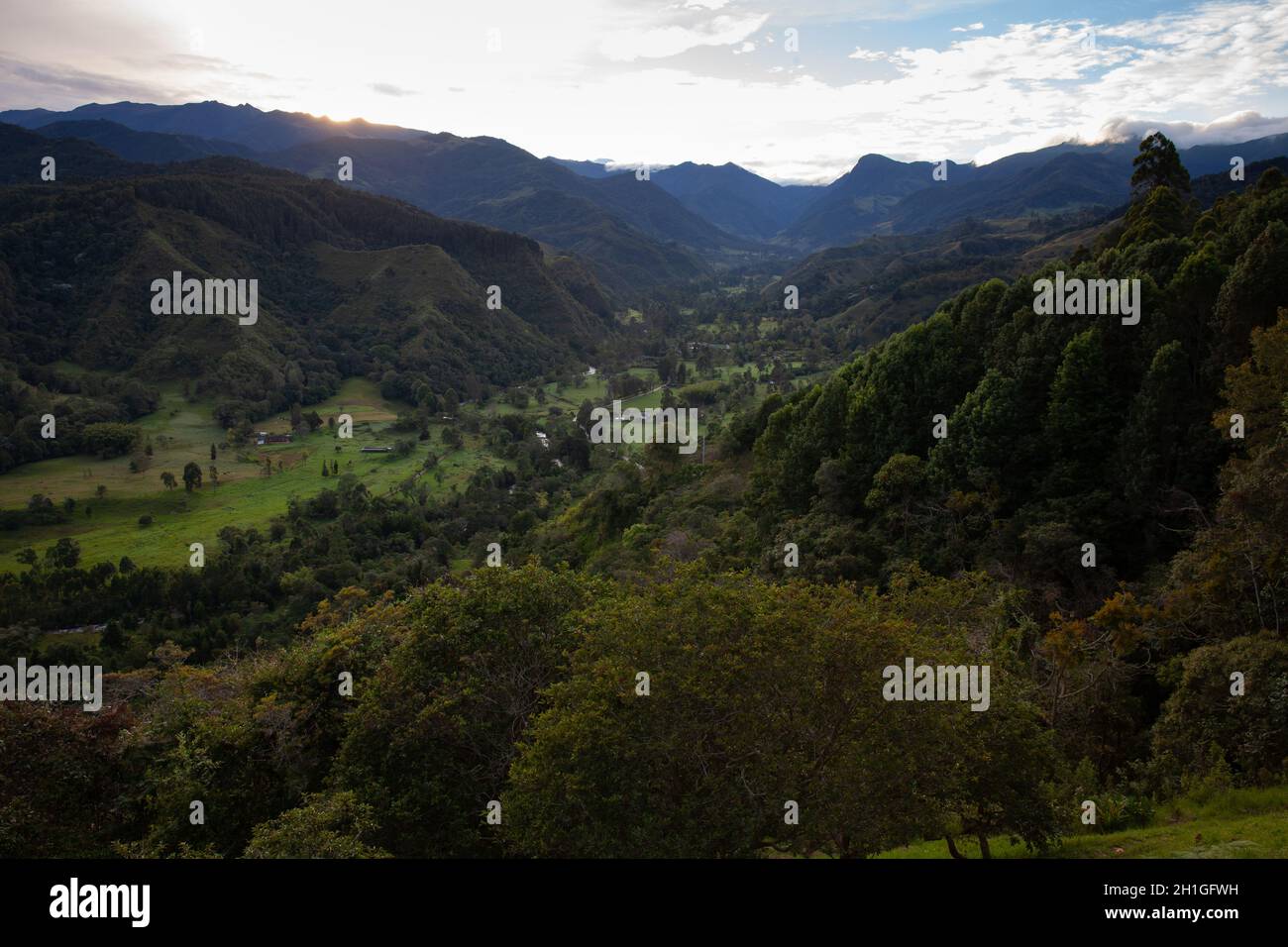 Belle vue sur la vallée de Cocora à Salento, depuis El Mirador, situé dans la région de Quindio en Colombie Banque D'Images