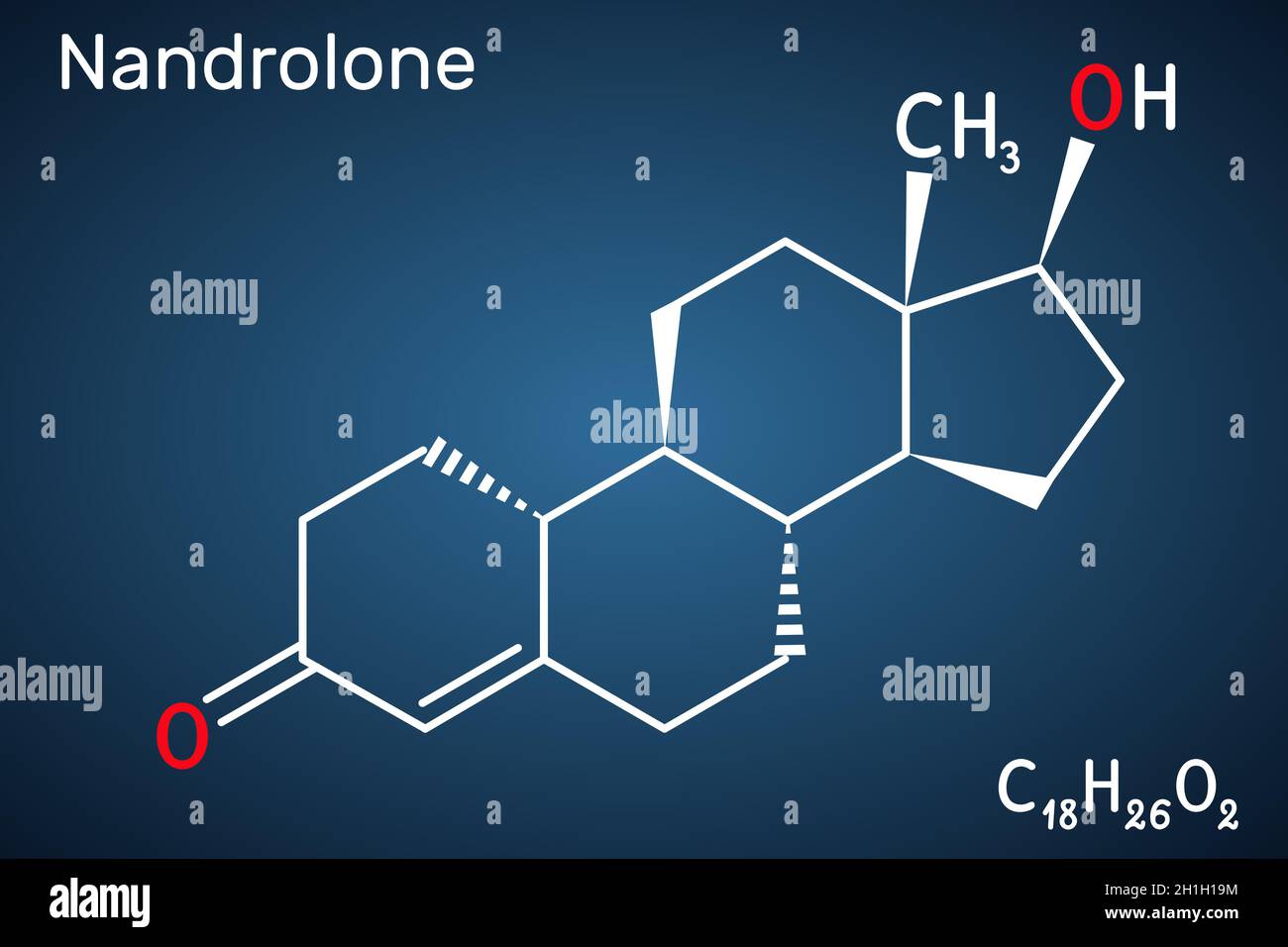 Hormones stéroïdiennes : androgènes - testostérone : récepteur aux  androgènes