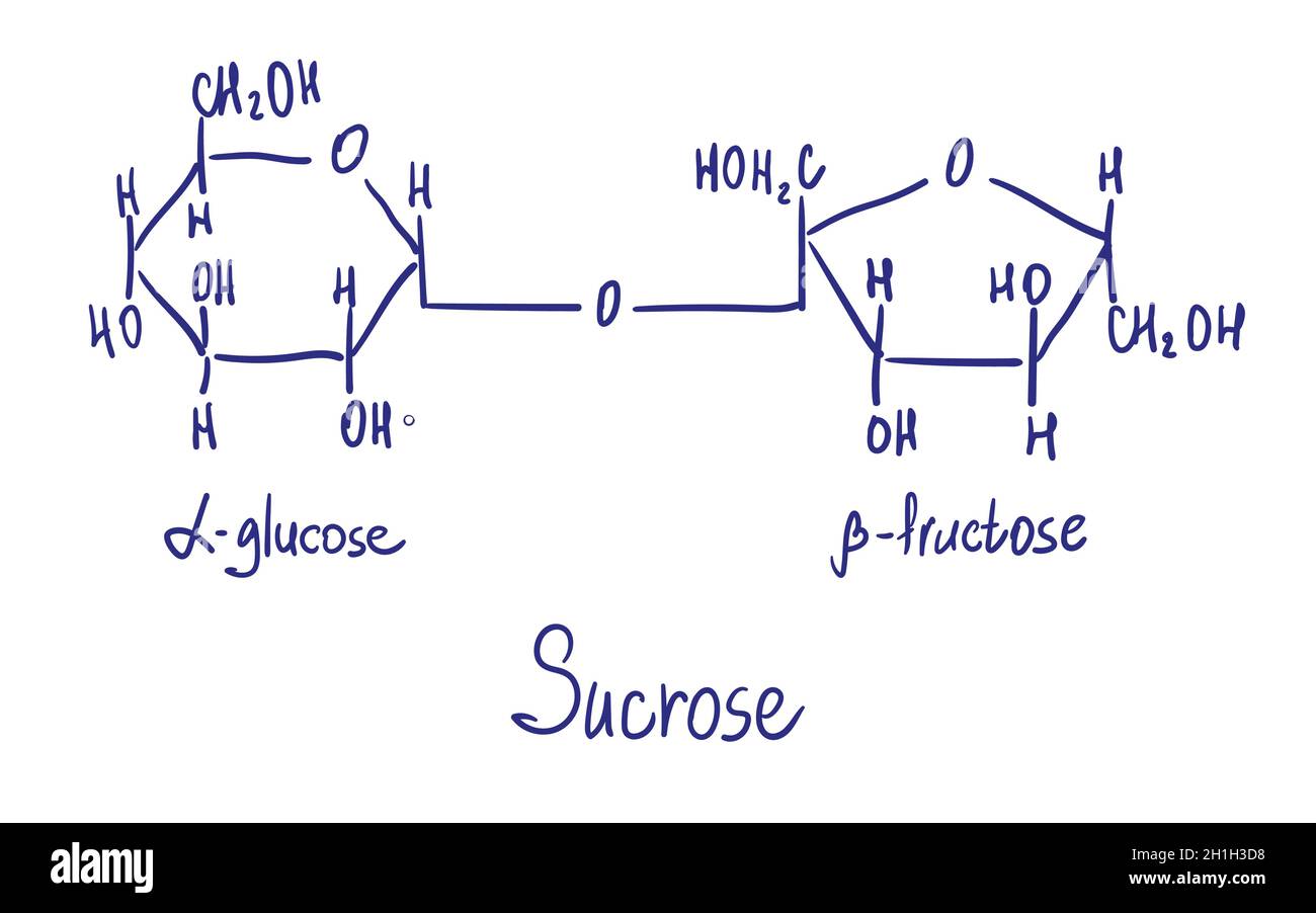 Structure chimique du saccharose.Illustration vectorielle dessinée à la main. Illustration de Vecteur