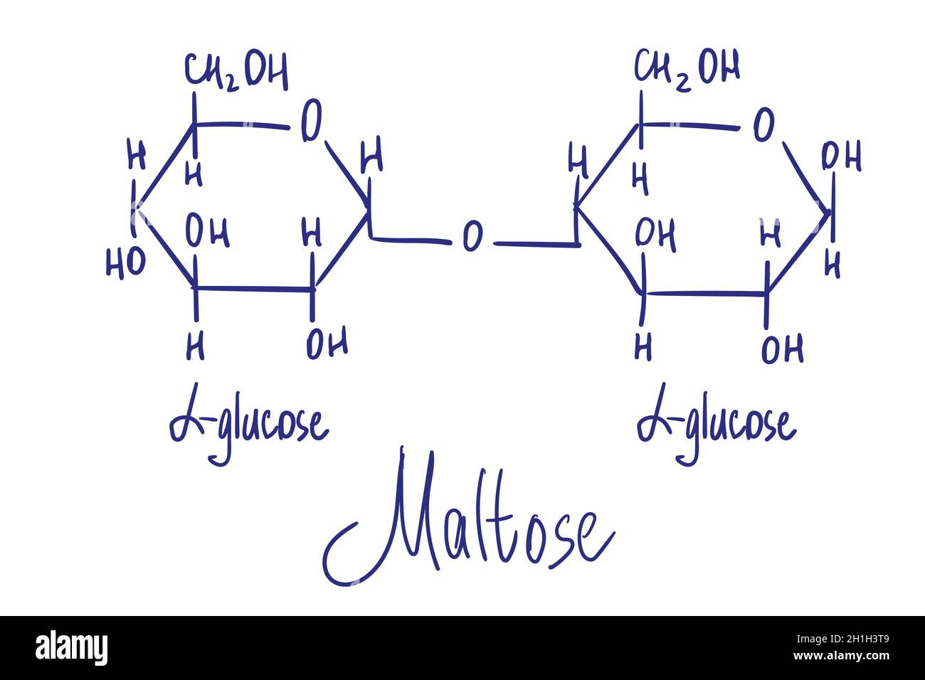 Structure chimique du maltose.Illustration vectorielle dessinée à la main. Illustration de Vecteur