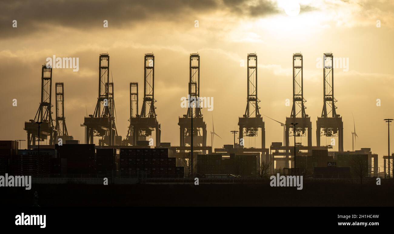 les grues du port de hambourg ressemblent à des girafes, en allemagne Banque D'Images